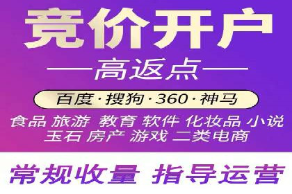 SEM服务案例：助力企业拓展海外市场